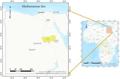 Microscopic and molecular detection of piroplasms among sheep in Upper Egypt